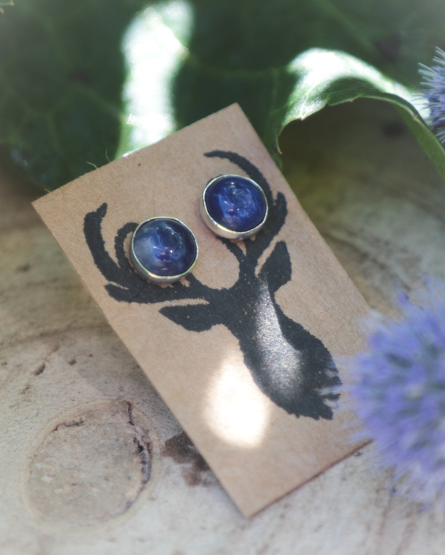 Sodalite stud earrings 6mm