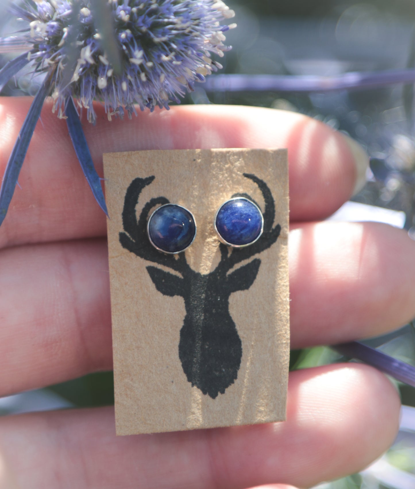 Sodalite stud earrings 6mm