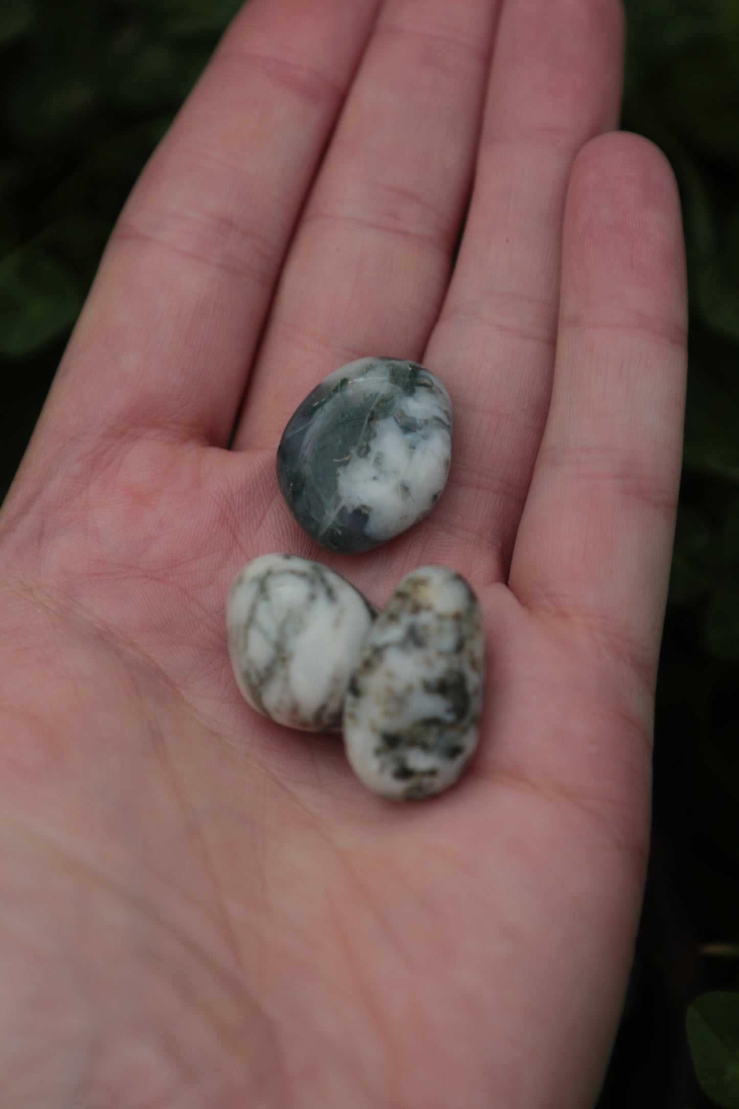 Tree Agate Tumblestone