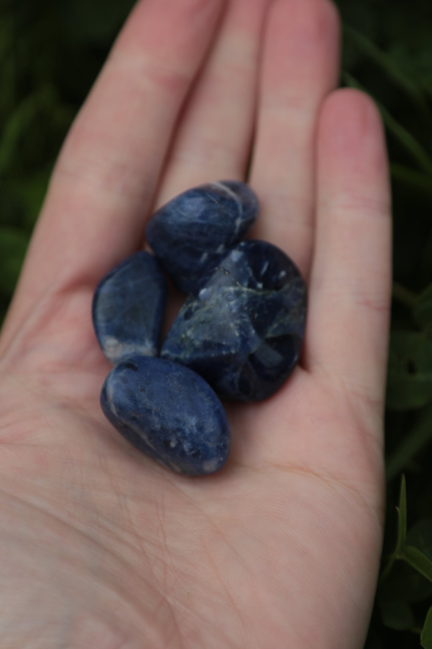 Sodalite Tumblestone
