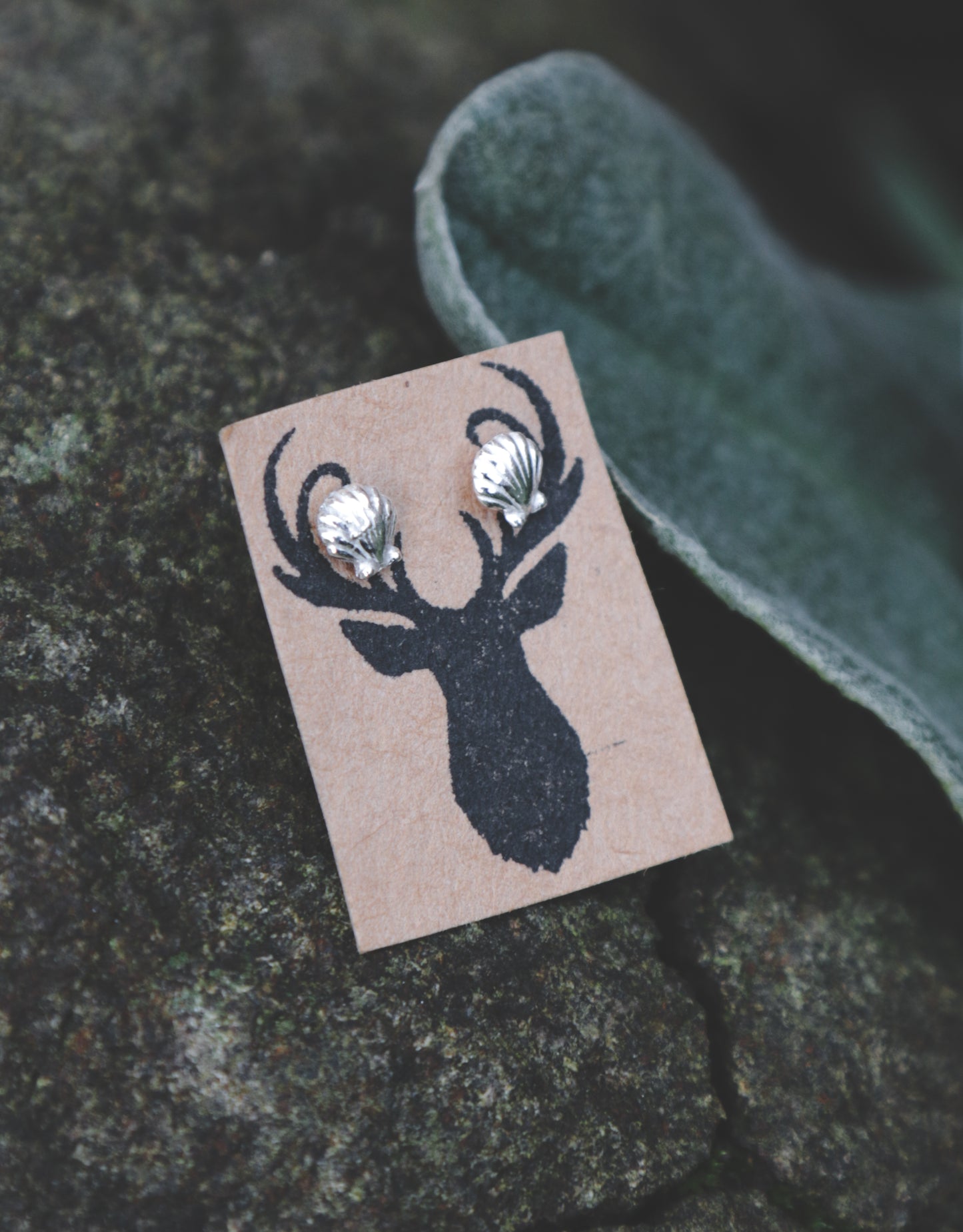 Oyster shell studs