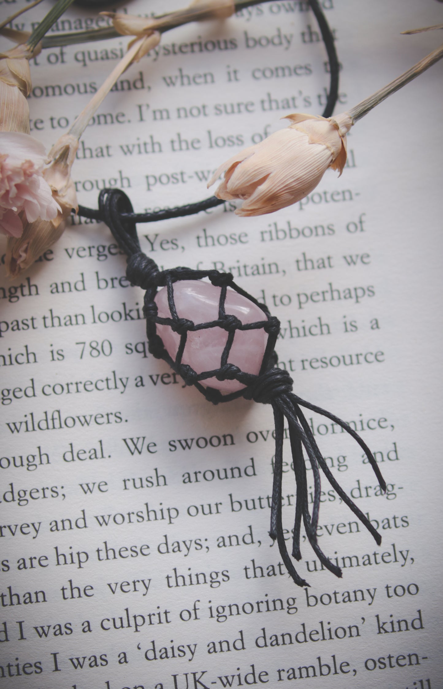 Rose Quartz crystal necklace