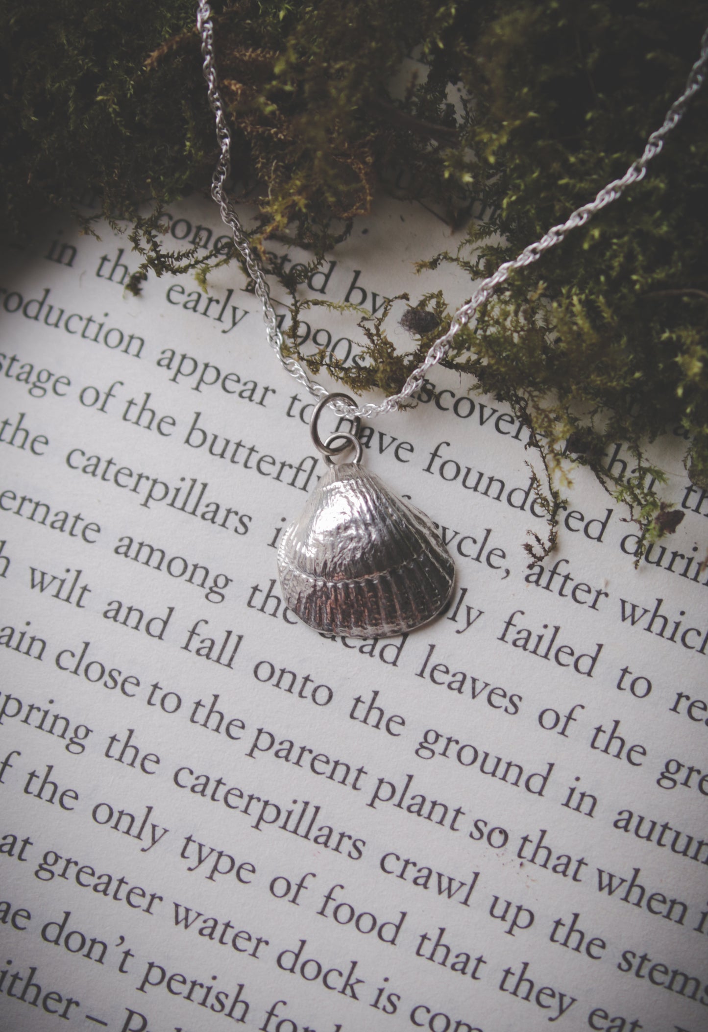 Silver seashell necklace