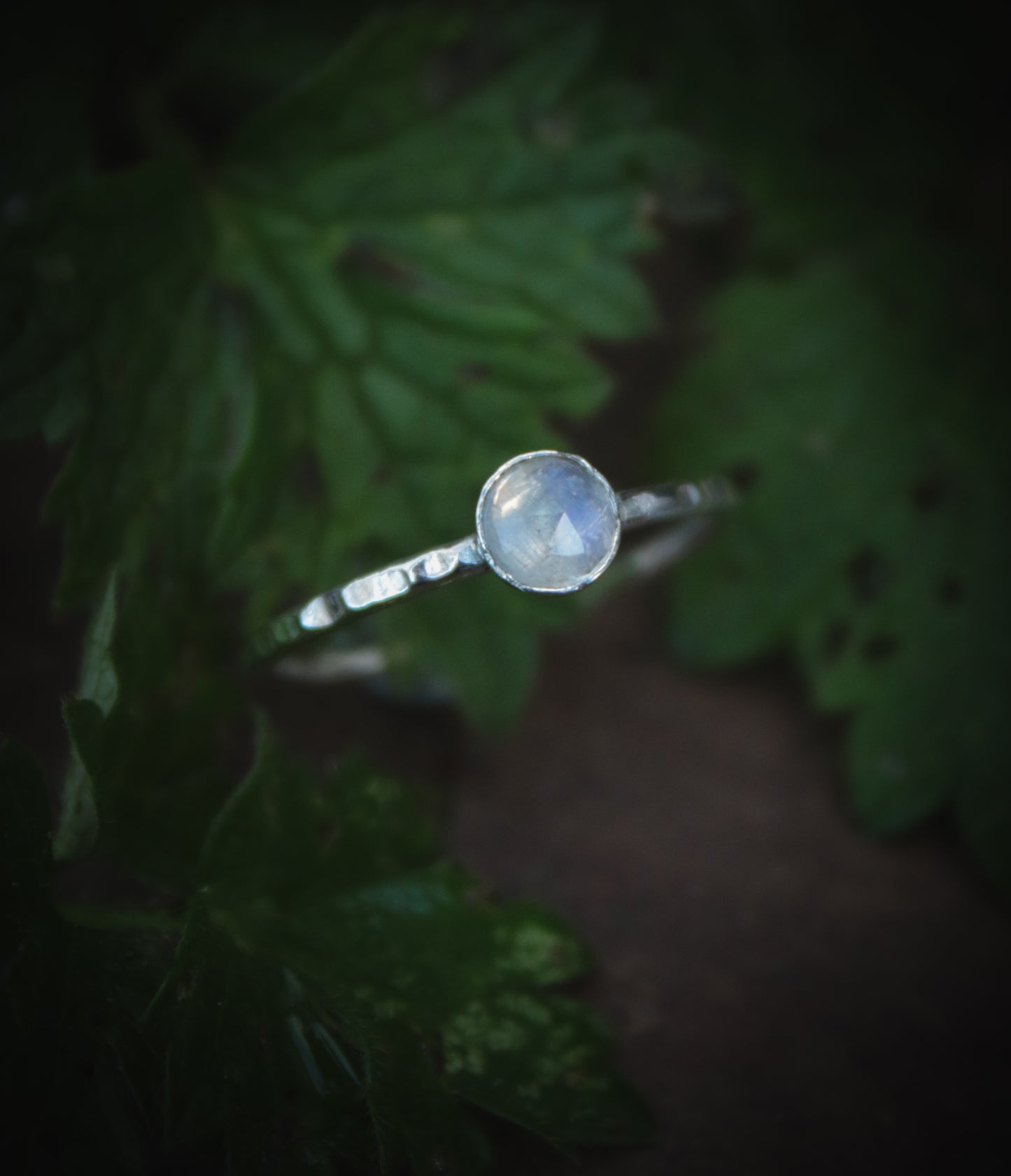 Moonstone skinny ring. Multiple sizes.