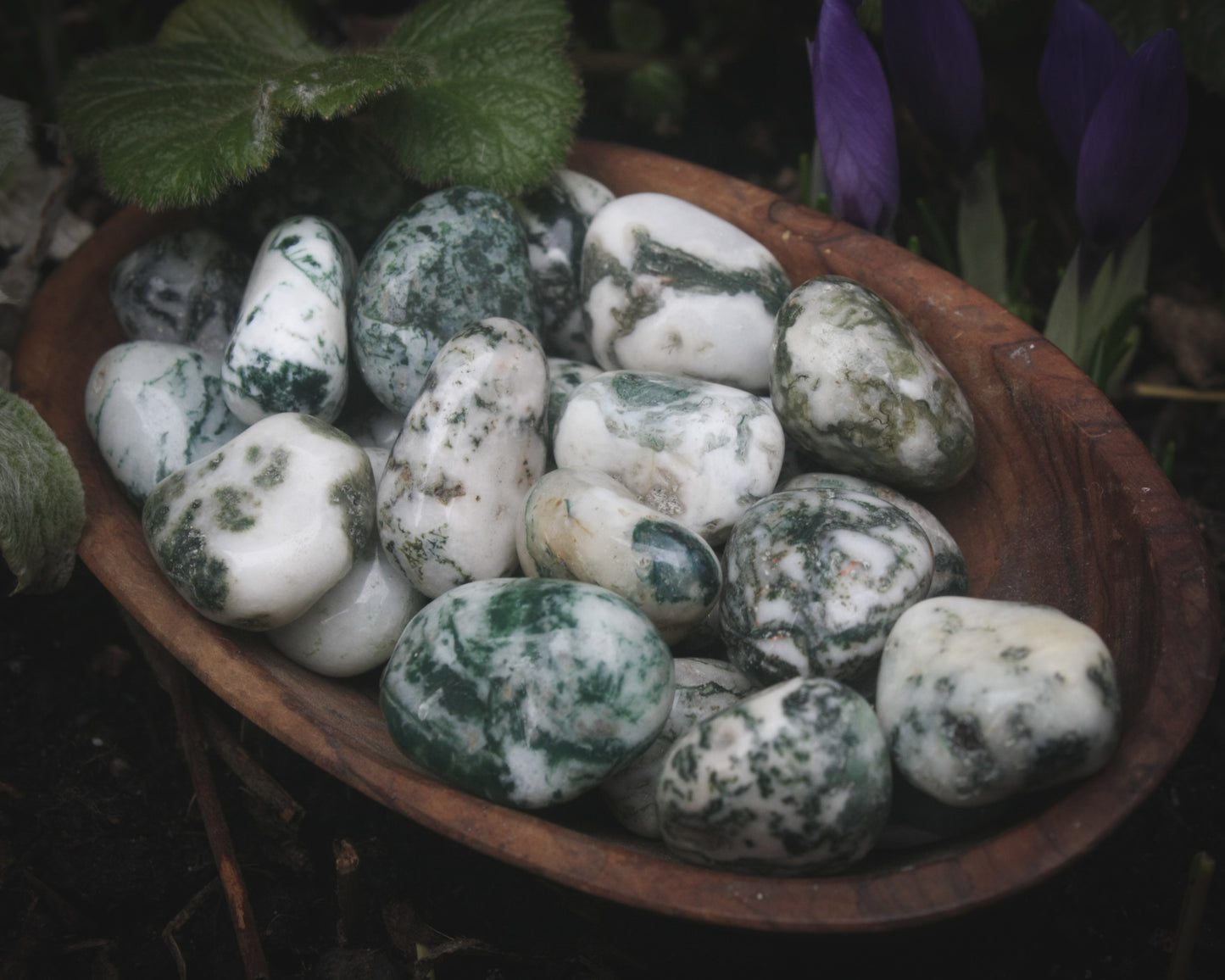 Green Tree Agate necklace