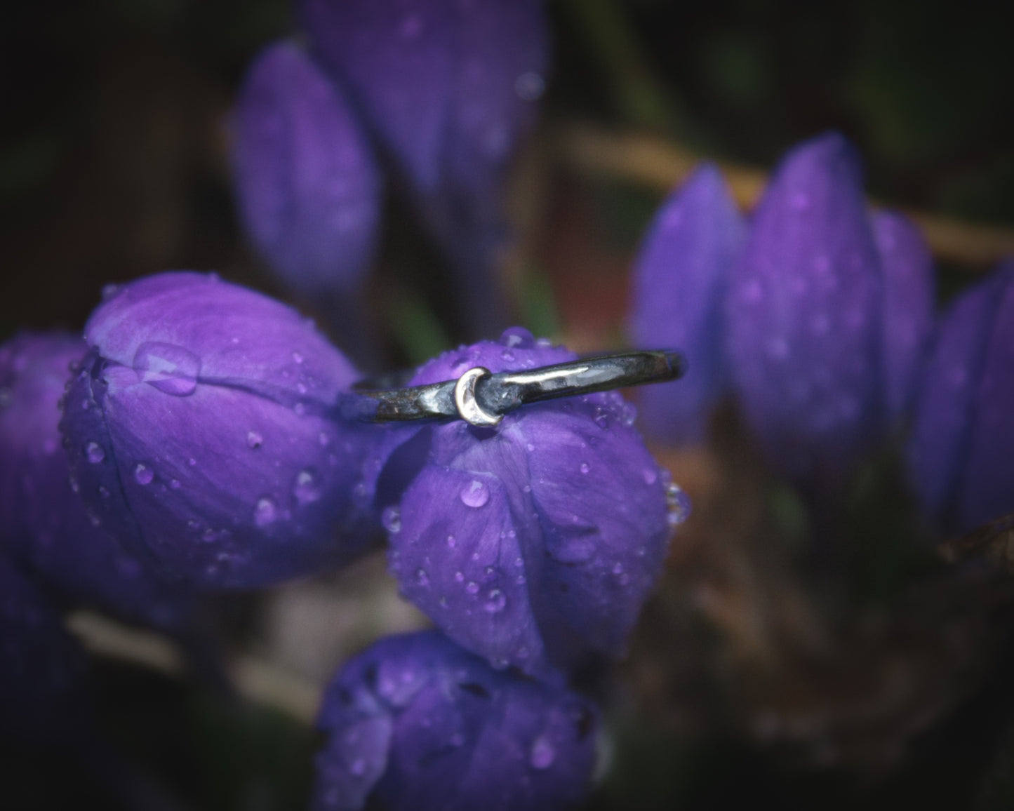 Crescent Moon ring. Various Sizes *Dark*