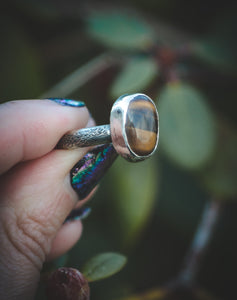 Tigers Eye ring  UK size N   -US 6 3/4