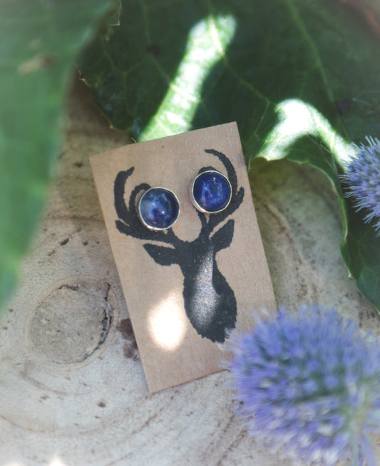 Sodalite stud earrings 6mm