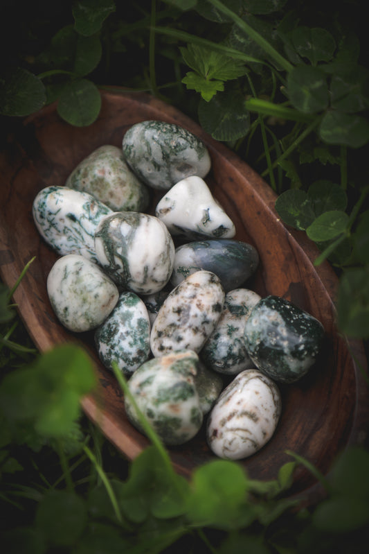 Tree Agate Tumblestone