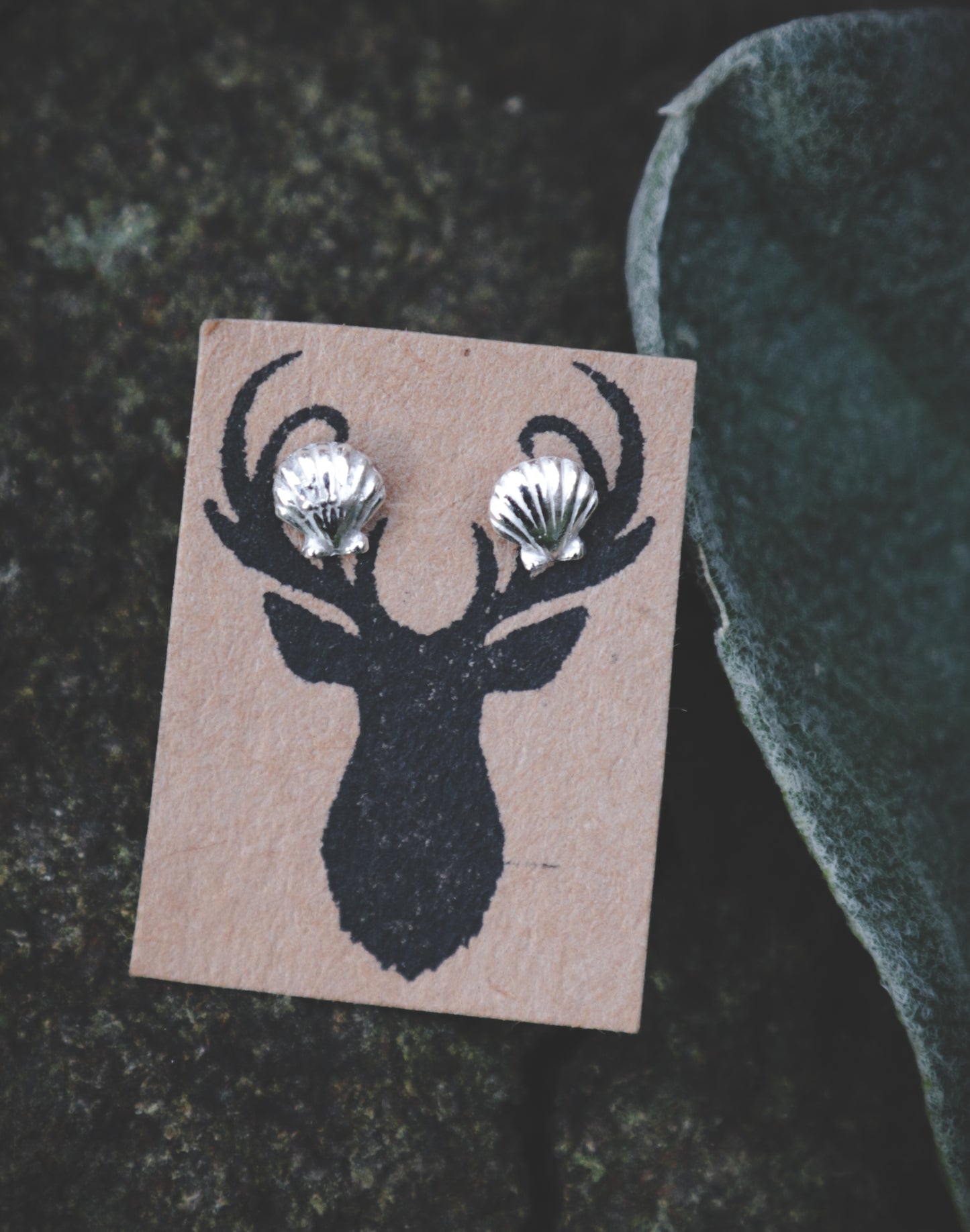 Oyster shell studs