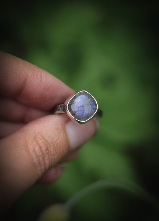 Labradorite ring - UK size J 1/2, US size 5