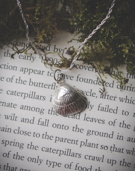 Silver seashell necklace