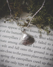 Load image into Gallery viewer, Silver seashell necklace
