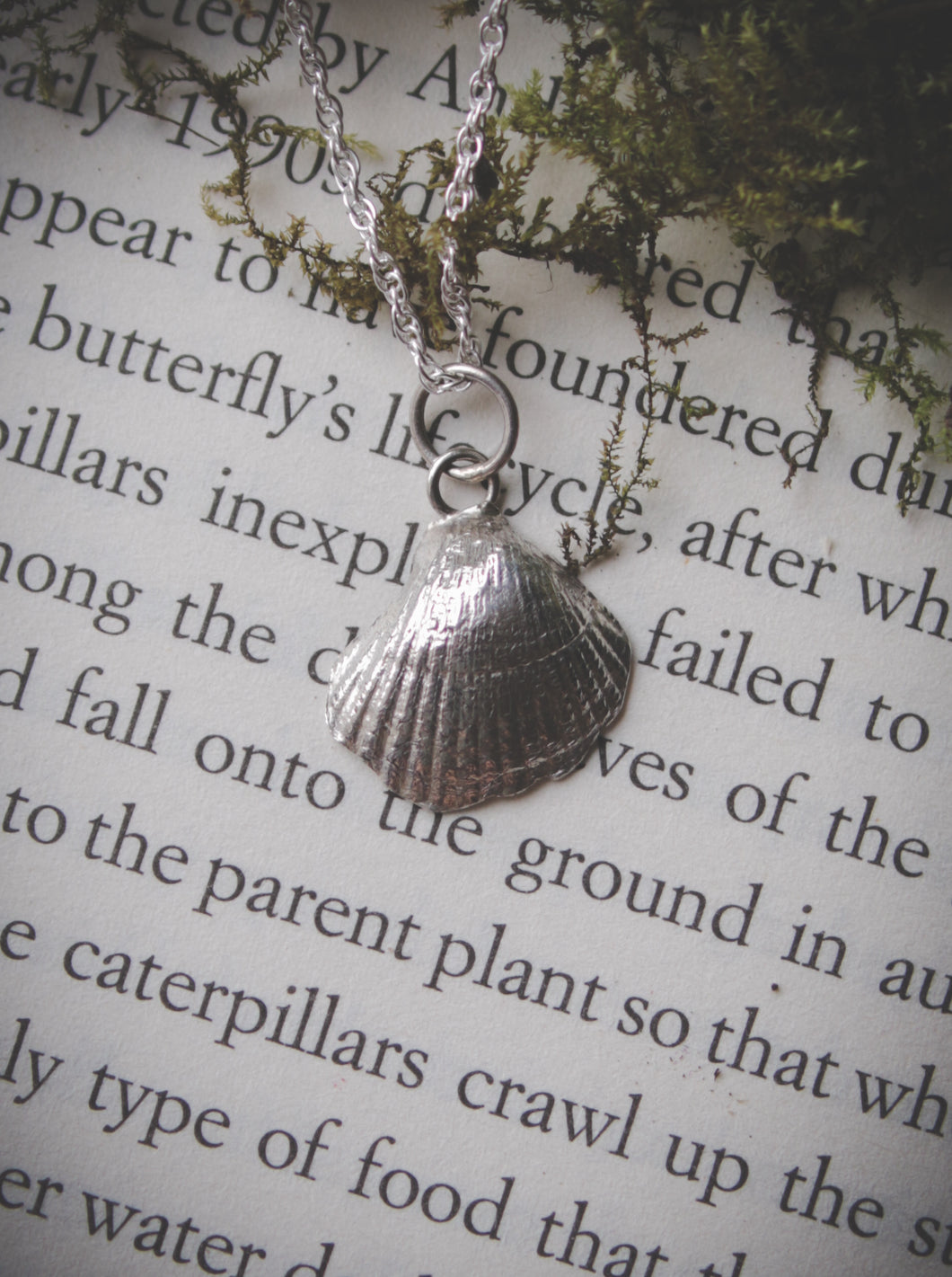 Silver seashell necklace II